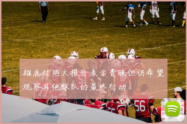 雄鹿对热火报价表示青睐但仍希望观察其他球队的最终行动