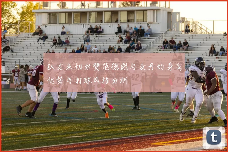狄龙米切尔赞范德彪与麦丹的身高优势与打球风格分析